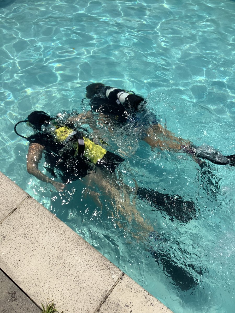 Starcross School tweet media