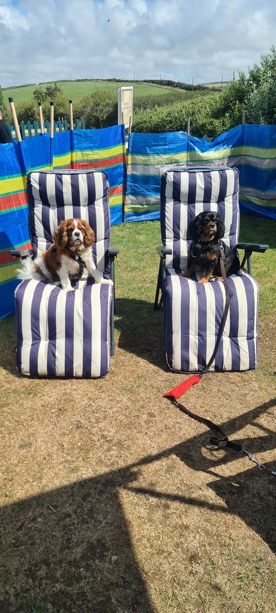 Where you Guys Sitting ?