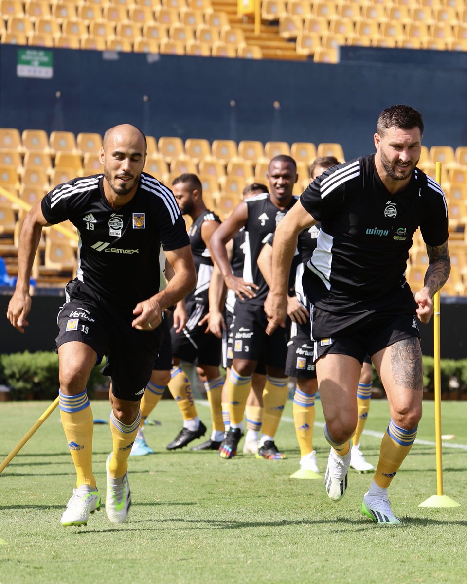 🗣️ ¡Fuerza y velocidad, fuerza y velocidad!