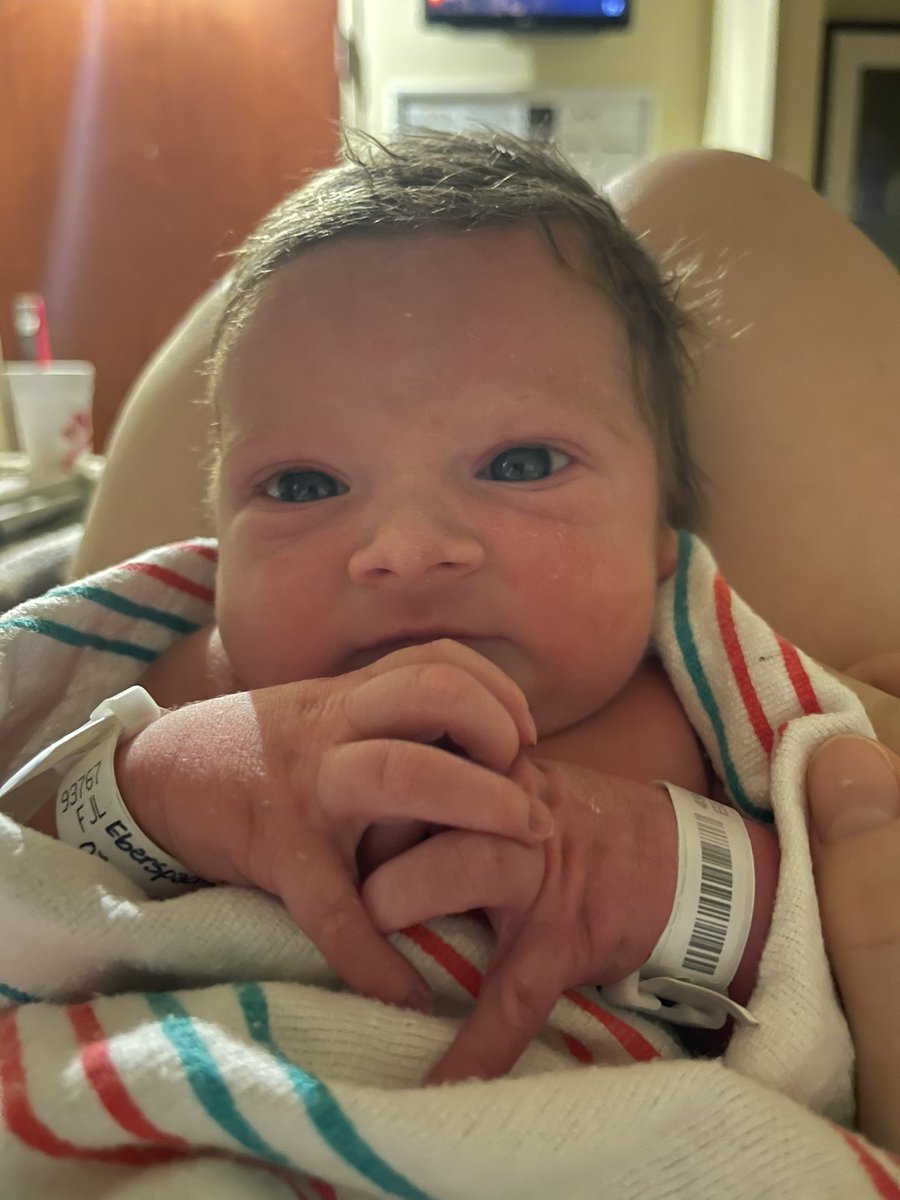 Mrs.Ebo’s Class tweet media