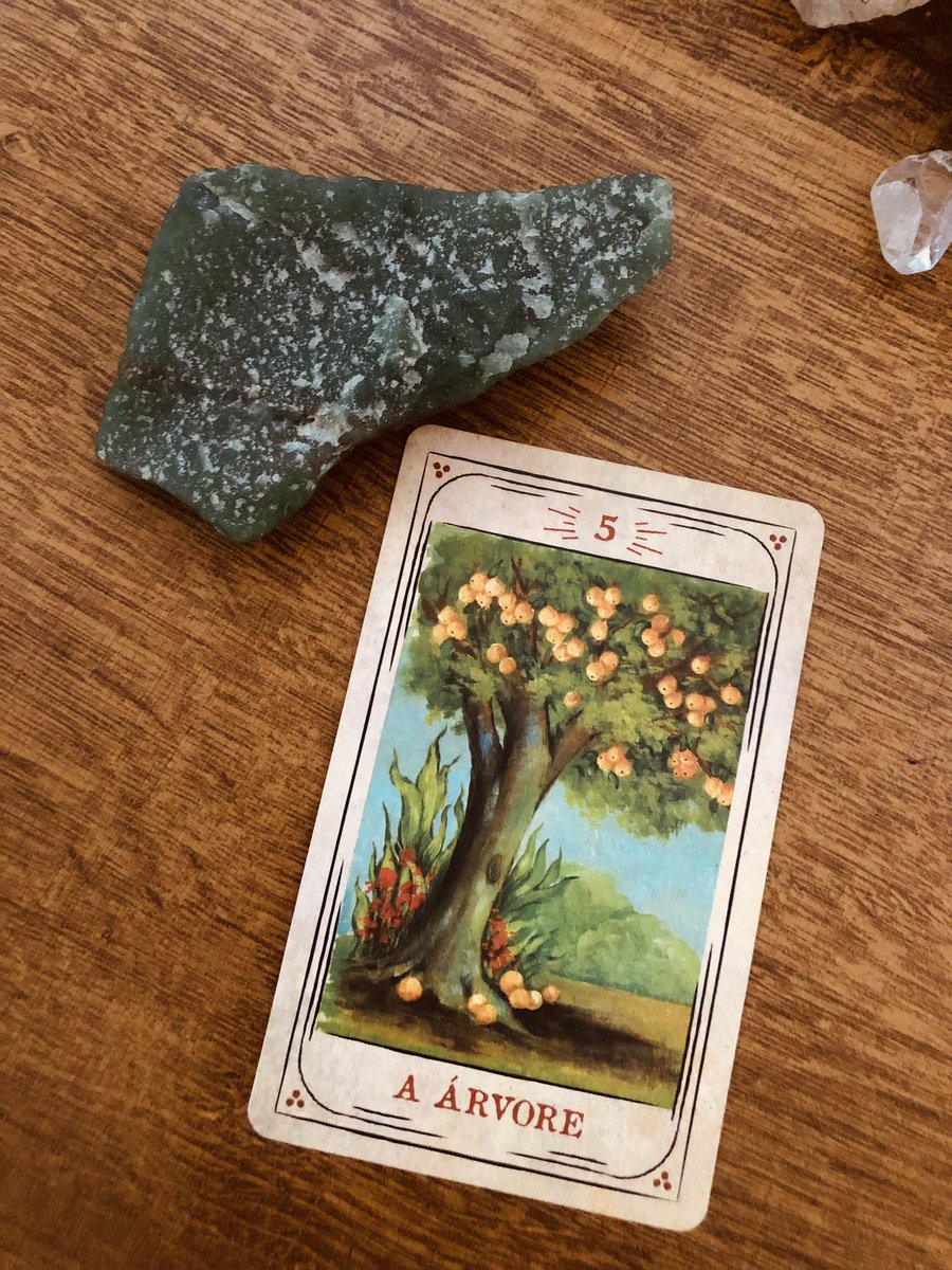 melloracles's tweet photo. ♎️✨ Libra:

momentos de recompensa chegando até você no financeiro nos próximos dias! se alegre, se algumas coisas não estavam evoluindo tudo poderá melhorar e você conseguirá se sentir melhor consigo e com essa área. será um progresso observável mas não imenso, tudo vai entrar no seu devido lugar. é o momento para colher aquilo que é do seu merecimento após seus esforços ou até mesmo, após um período um tanto quanto chatinho.