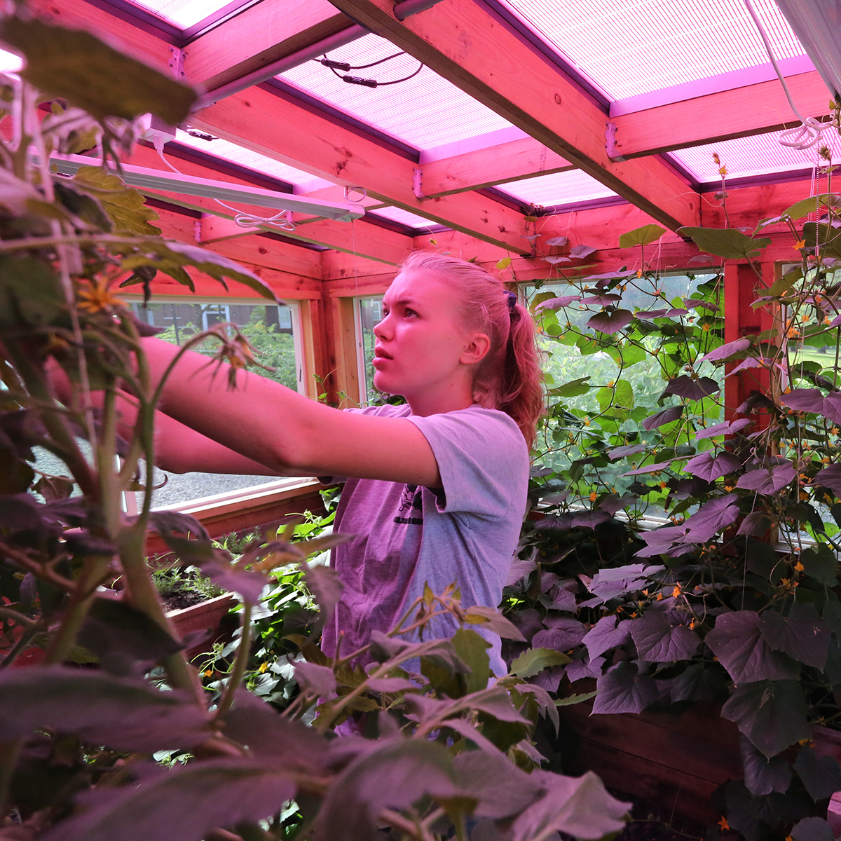 Allegheny College tweet media