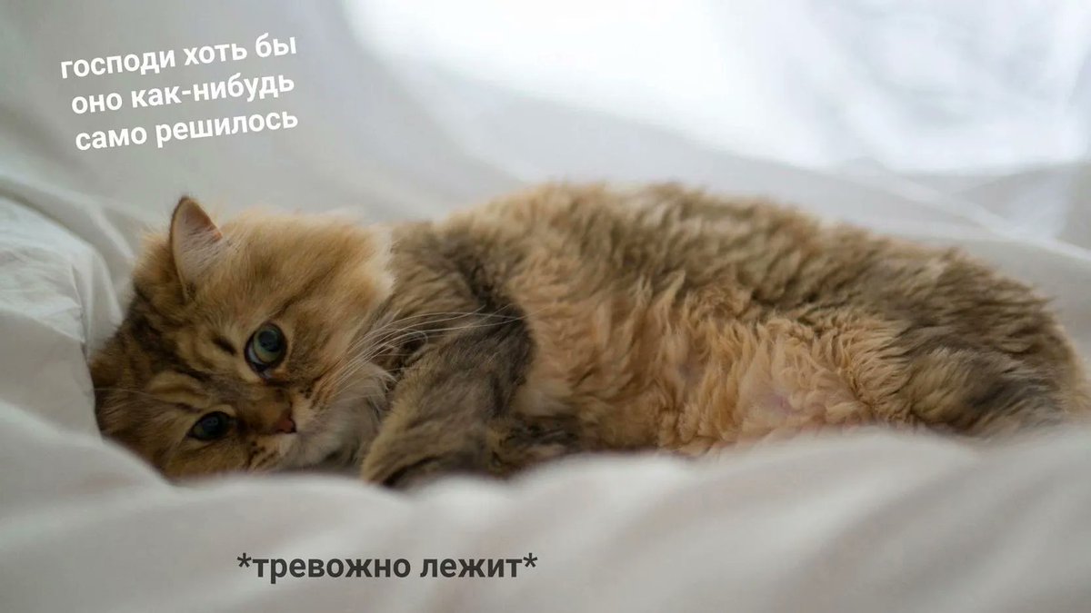 act_like_adfc's tweet photo. @kartache4ka ❤️💔❤️
Муд примерно такой: https://t.co/GaSZ5NXSM7