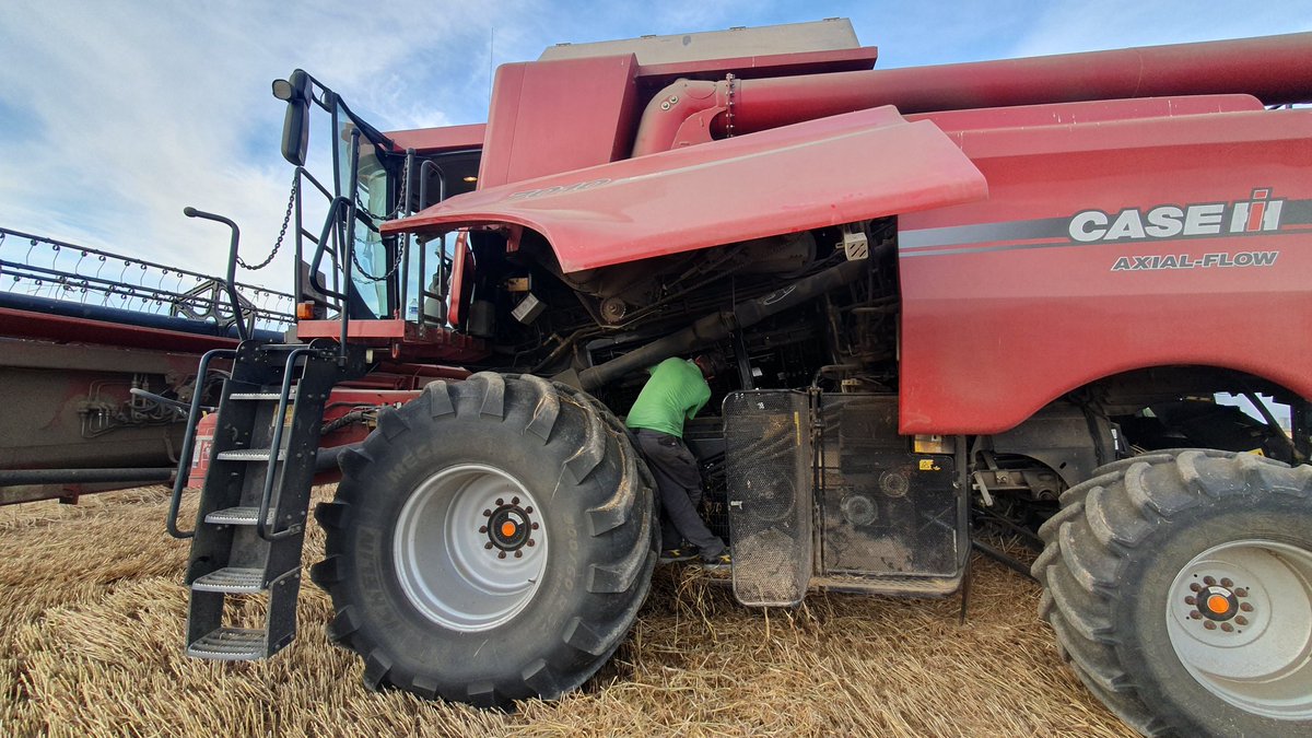 agri_zoom's tweet image. Retour au blé ! Bourrage 😬🙄
L&apos;occasion de voir ce qu&apos;elle a dans le ventre ! 
#FrAgriMoisson2023