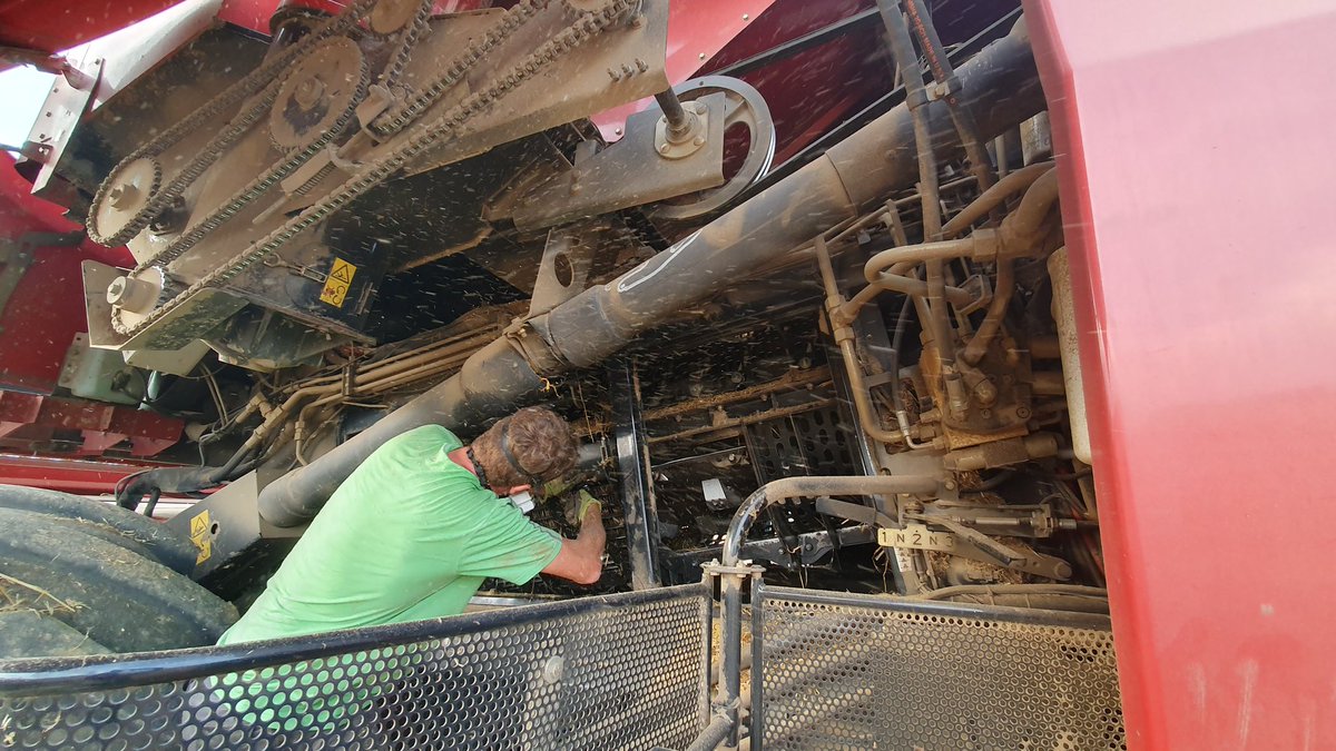 agri_zoom's tweet image. Retour au blé ! Bourrage 😬🙄
L&apos;occasion de voir ce qu&apos;elle a dans le ventre ! 
#FrAgriMoisson2023