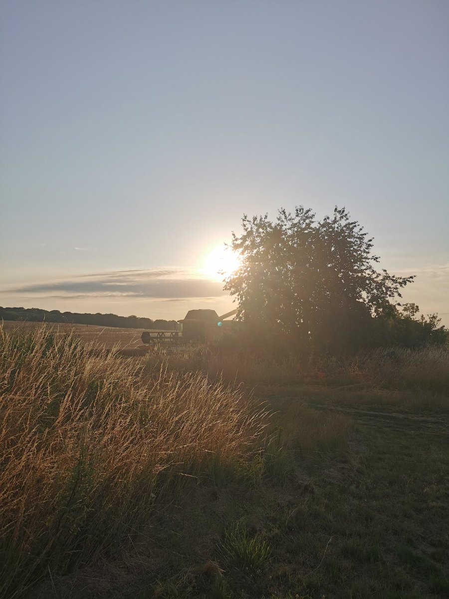 NicolardotS's tweet photo. Recolte des blés soleil couchant, pas de répit pour les epis 😎☀️
#moisson2023 #bpmf https://t.co/UX4bodS2Th
