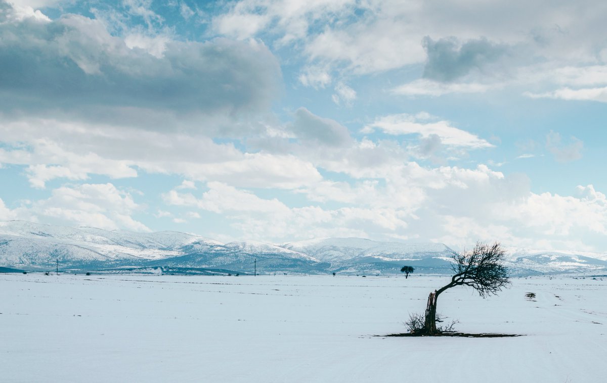 Uzun uğraşlar sonucunda seriyi tamamladım. 
İlkbahar / Yaz / Sonbahar / Kış