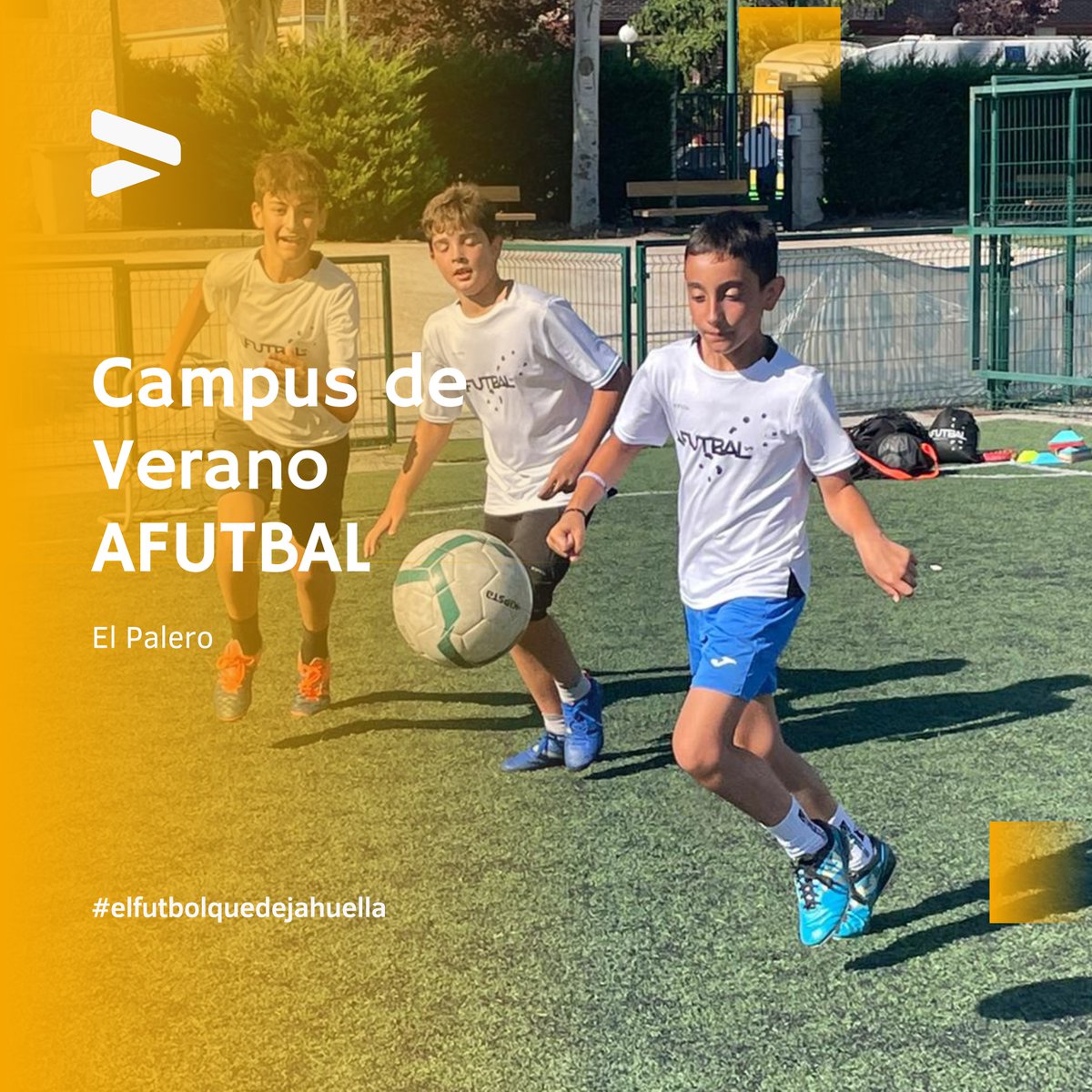 ACADEMIA | ¡El Palero ya recibe a los Campus de Verano AFUTBAL! 👌

Hasta el viernes realizaremos entrenamientos de fútbol, pero también juegos y actividades en la piscina 😃

Ya lo sabes, AFUTBAL es el fútbol que deja huella 👣

#afutbal #campus #futbol #elfutbolquedejahuella