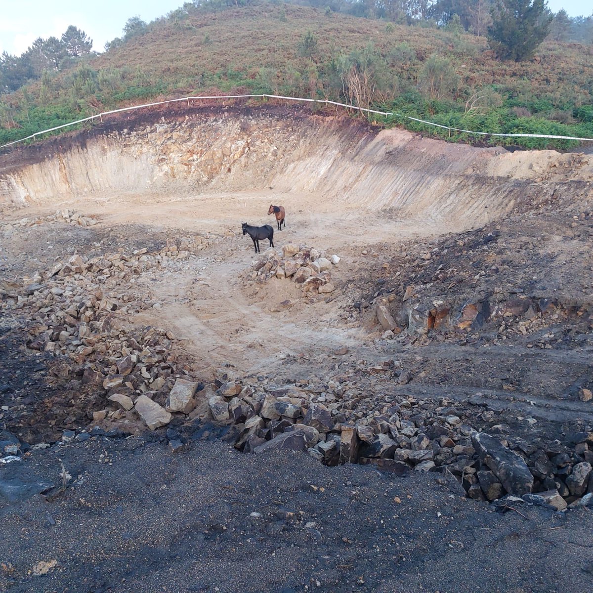 ManuelGermade's tweet image. Dí o Presidente da Patronal Eólica de Galicia que desconhece si hai algún parque en construción actualmente.
Que vaia por #Amil , en Moraña e bote un vistazo as obras do Parque Acibal , de @NorventoEnerxia co permiso da @Xunta