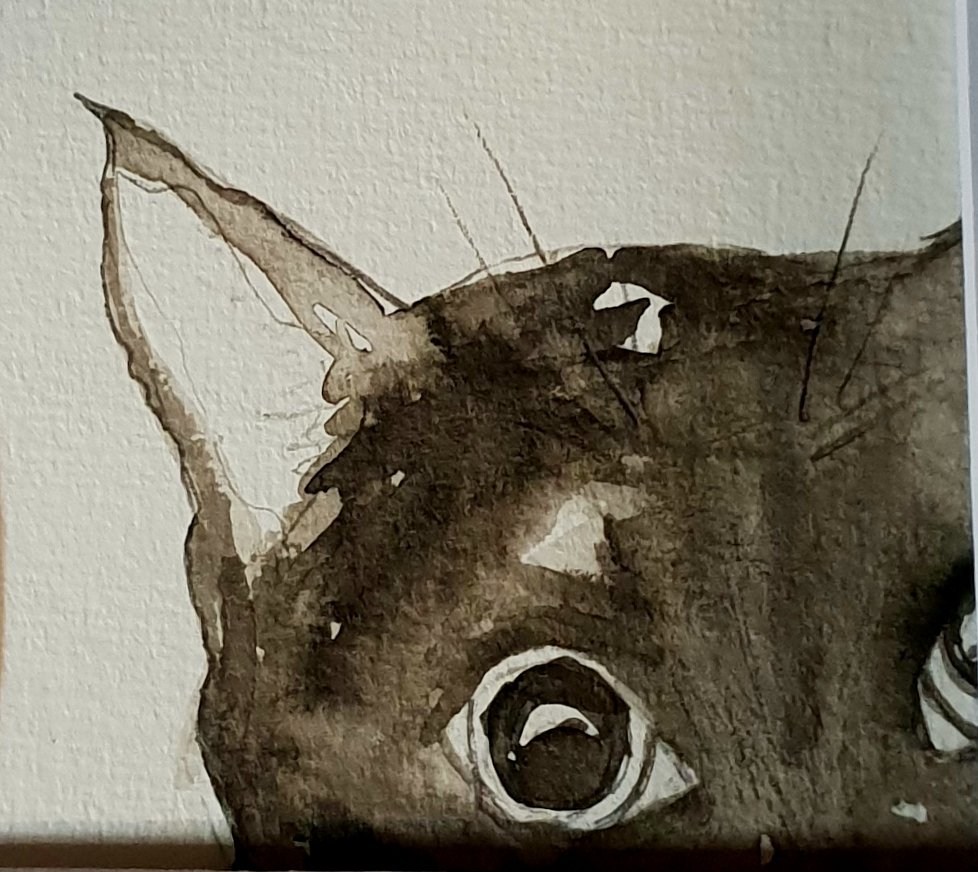 #indianinkpainting