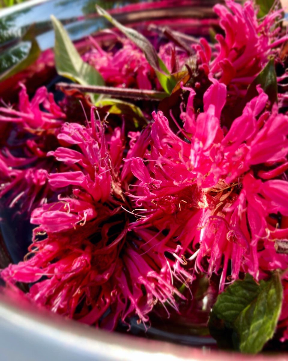 Kate_Domm tweet media