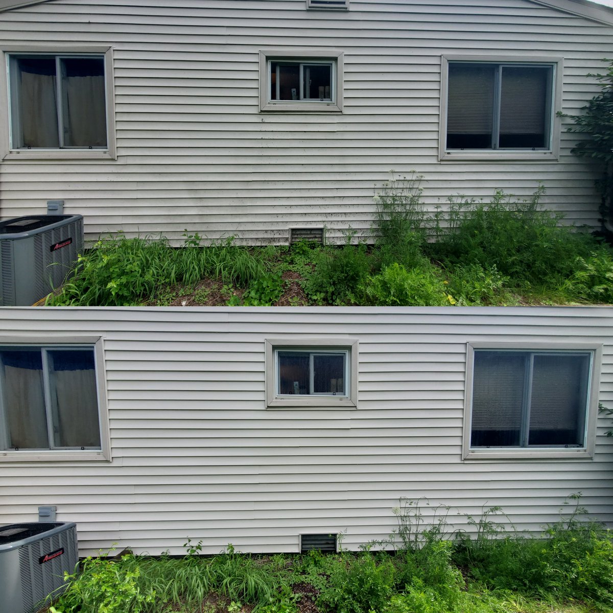 EandSPowerWash's tweet photo. House Washing, Porch and Soft Washing of their back deck in Romulus, Michigan #BeforeandAfter #Fyp #PowerWash #PowerWashing #PressureWash #PressureWashing #HouseWash #HouseWashing #ExteriorWash #ExteriorWashing #ExteriorHouseWashing #SoftWash #SoftWashing #HouseSoftWashing https://t.co/wKIkLSQzBP