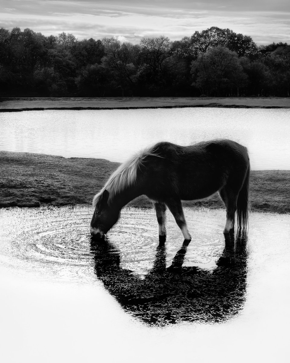 Michael Hartley tweet media