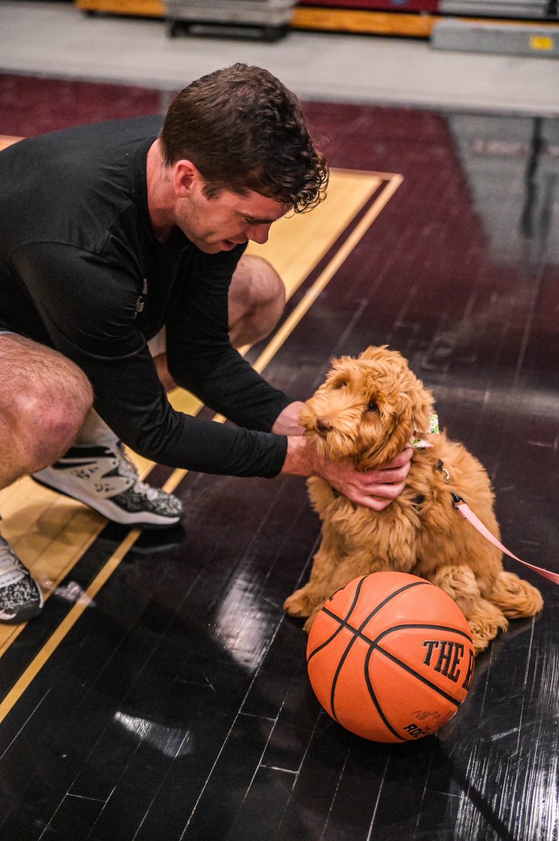 Lafayette Hoops tweet media