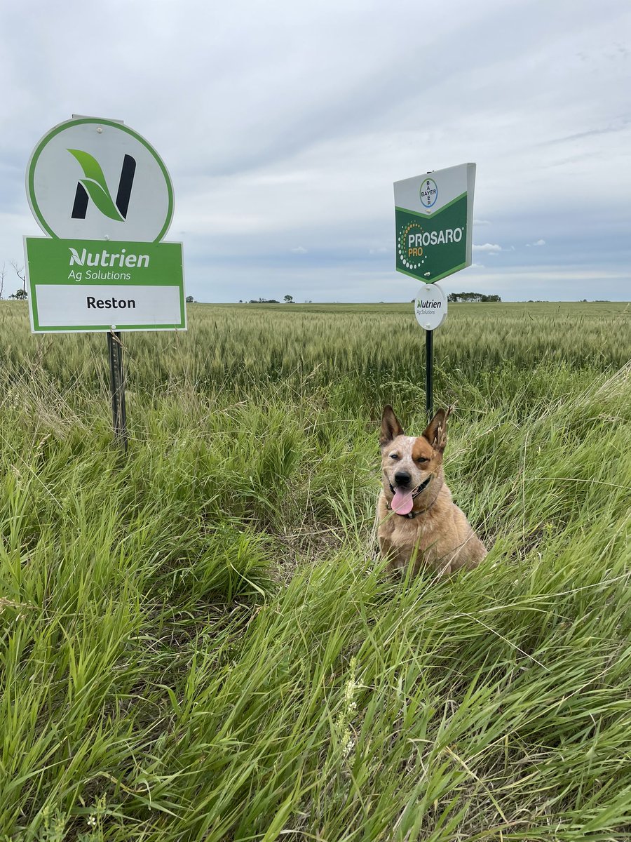 Tori Murphy tweet media