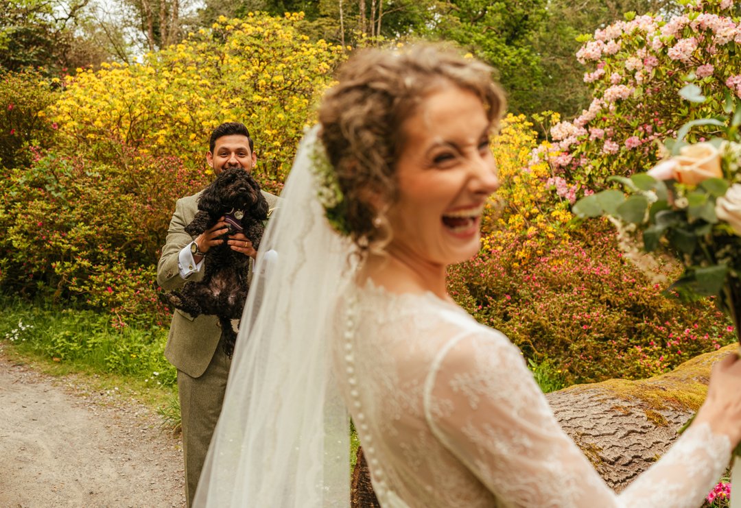 FlashbulbWales's tweet photo. Look wifey, I found you a dog! 
Jen &amp; Jon cooooed over this little cavapoo that came running up during their photos in Clyne Gardens. Followed by a panicking owner thinking they wouldn't want it near the dress! "its ok, she's a vet!" 
.
.
.
#crazydogpeople #clynechapel #clynegard https://t.co/IUYPx1K2dv