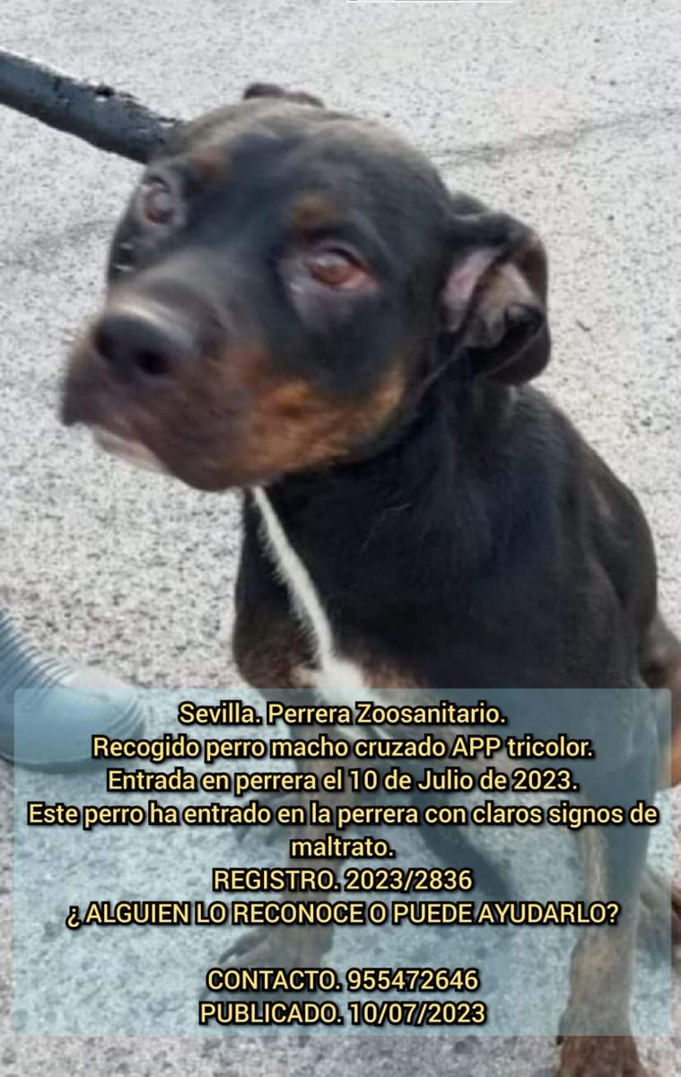 silvia mensegar (@silviamylo) on Twitter photo 