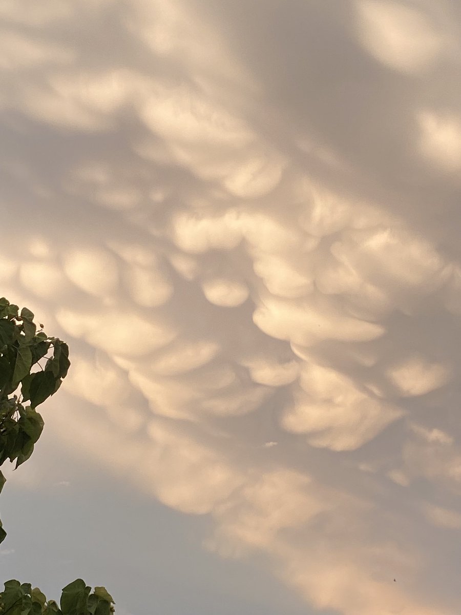 _Enkith_'s tweet photo. Superbes nuages après les #orages près de #Dijon ! https://t.co/qb3qHnZkwT