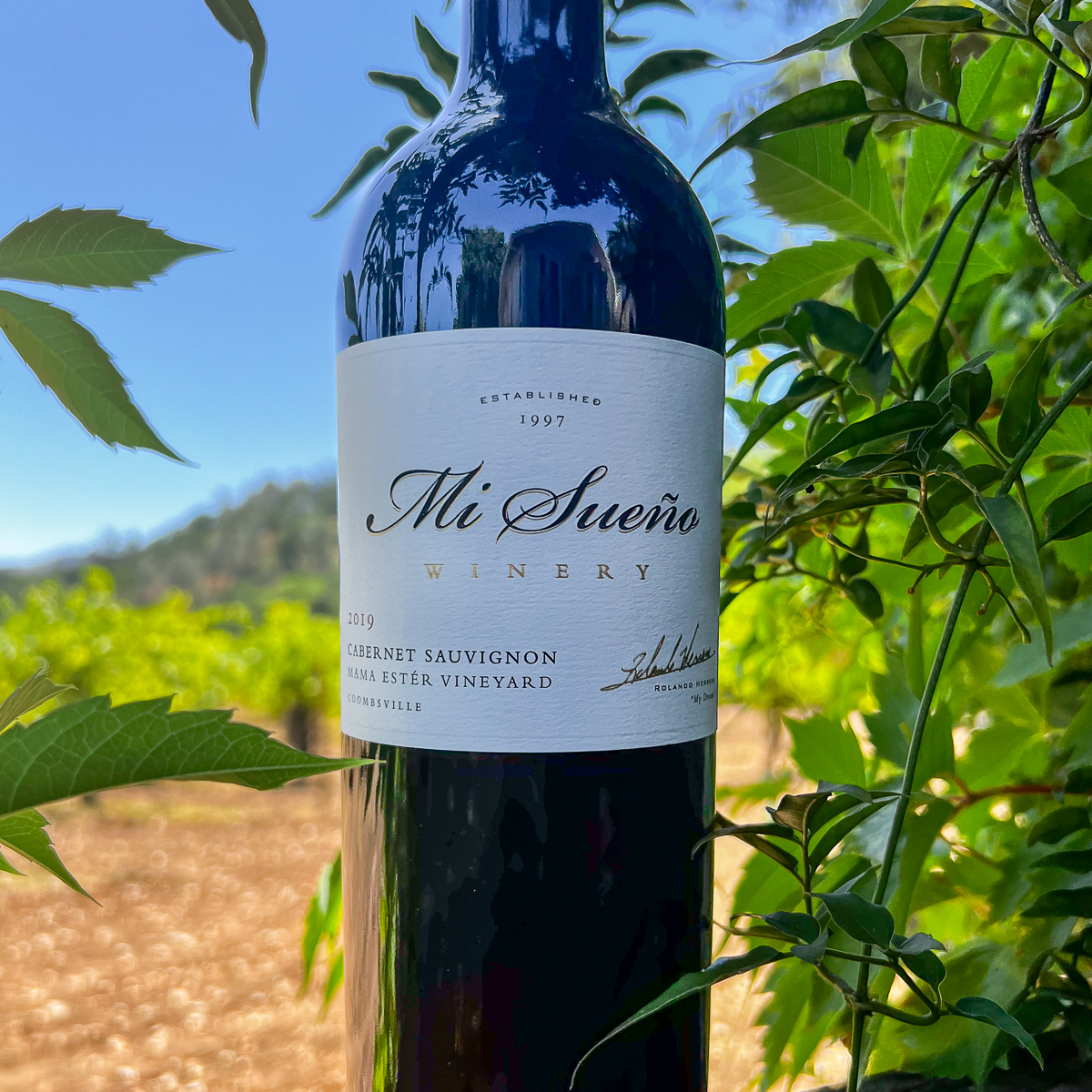SUMMER OF GOLD🏆

Our 2019 Mi Sueño Mama Estér #CabernetSauvignon scored Double Gold &amp; 96 points at the 2023 #SunsetInternationalWineAwards! Order 3+ bottles of this winner &amp; shipping is included for 48 hours only. 
 Use code SUMMERGOLD at checkout.  ow.ly/4fRB50P8U2E