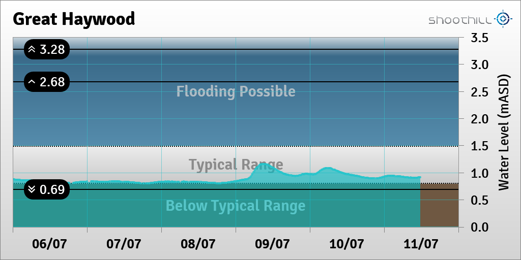 Great Haywood tweet media