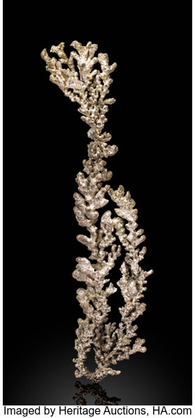HeritageAuction's tweet photo. #HERITAGELIVE Still maintaining its metallic brilliance despite its age, this #NativeSilver specimen has grown to the staggering height of just over 22 centimeters! This fern-like beauty just sold for $42,500 in today's Fine #Minerals event. https://t.co/1ZKDHMQilc https://t.co/gCUnZfTTLm