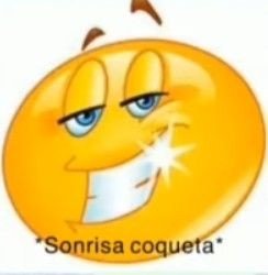 lauti VA A VER A BTS EN ARGENTINA tweet media