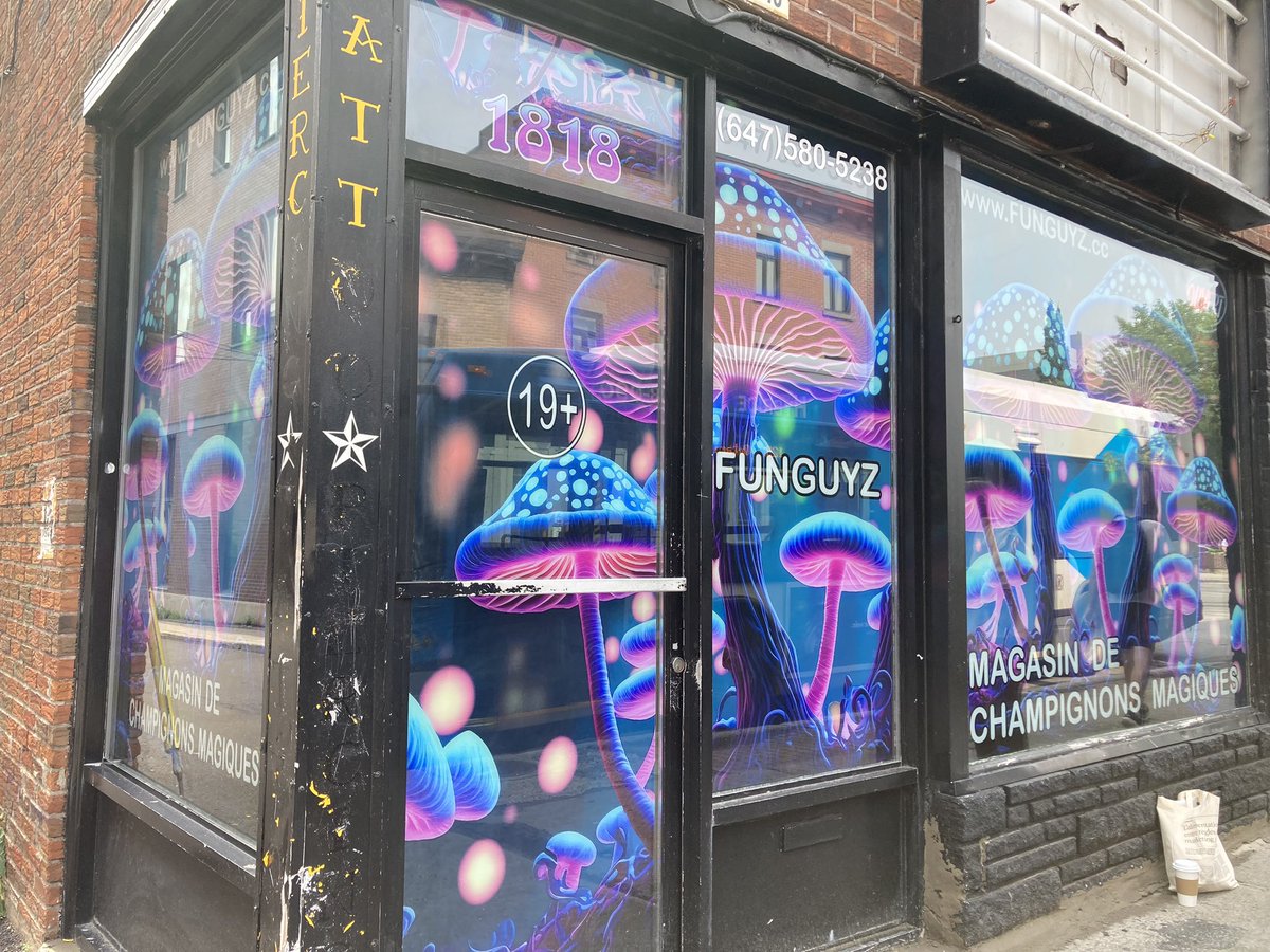 mj_comeau's tweet image. Le boutique de #champignonmagique rue Ontario est ouverte! #Funguyz vise l’expansion partout à #MTL et la légalisation de la #psilocybine. Ils n’ont pas peur du @SPVM . Ils disent avoir l’habitude des perquisitions dans leurs 12 boutiques en Ont. Rappel: vente = illegale! #rcmtl