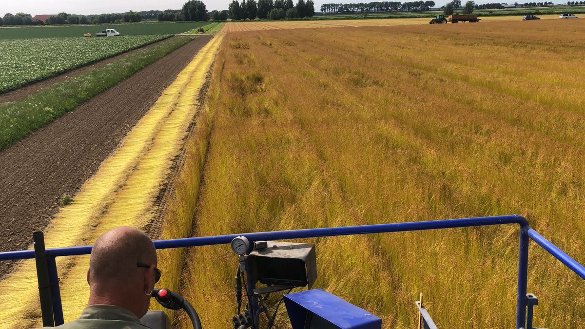 Vandebilt Zaden&Vlas tweet media