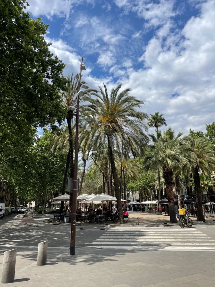 metangeI222's tweet image. 