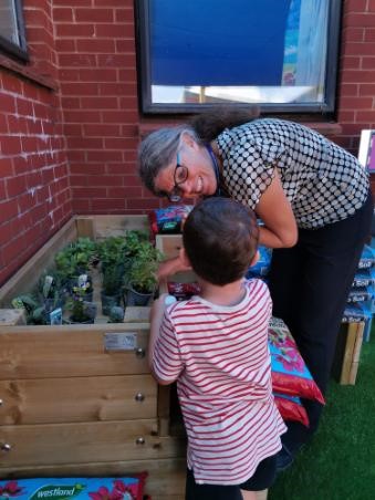 SFT Paediatrics tweet media