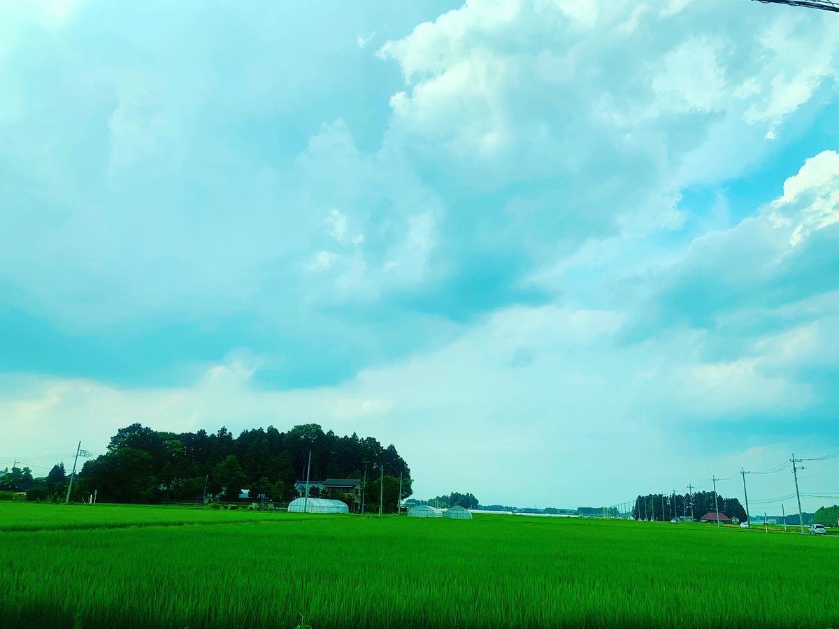 RilfeeFal's tweet image. Nice view🥰
すごく良い風景で癒されます。
暑いけれど…☀️
#ricefield #Tochigi