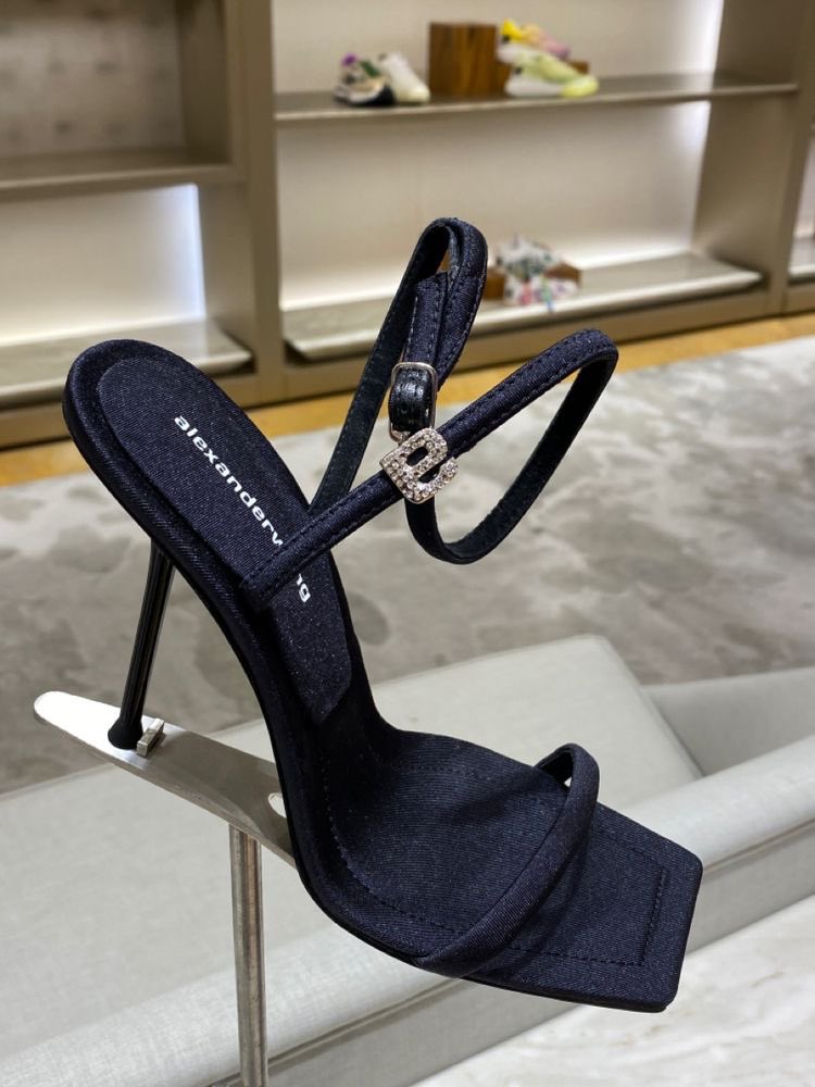 alexander wang heels