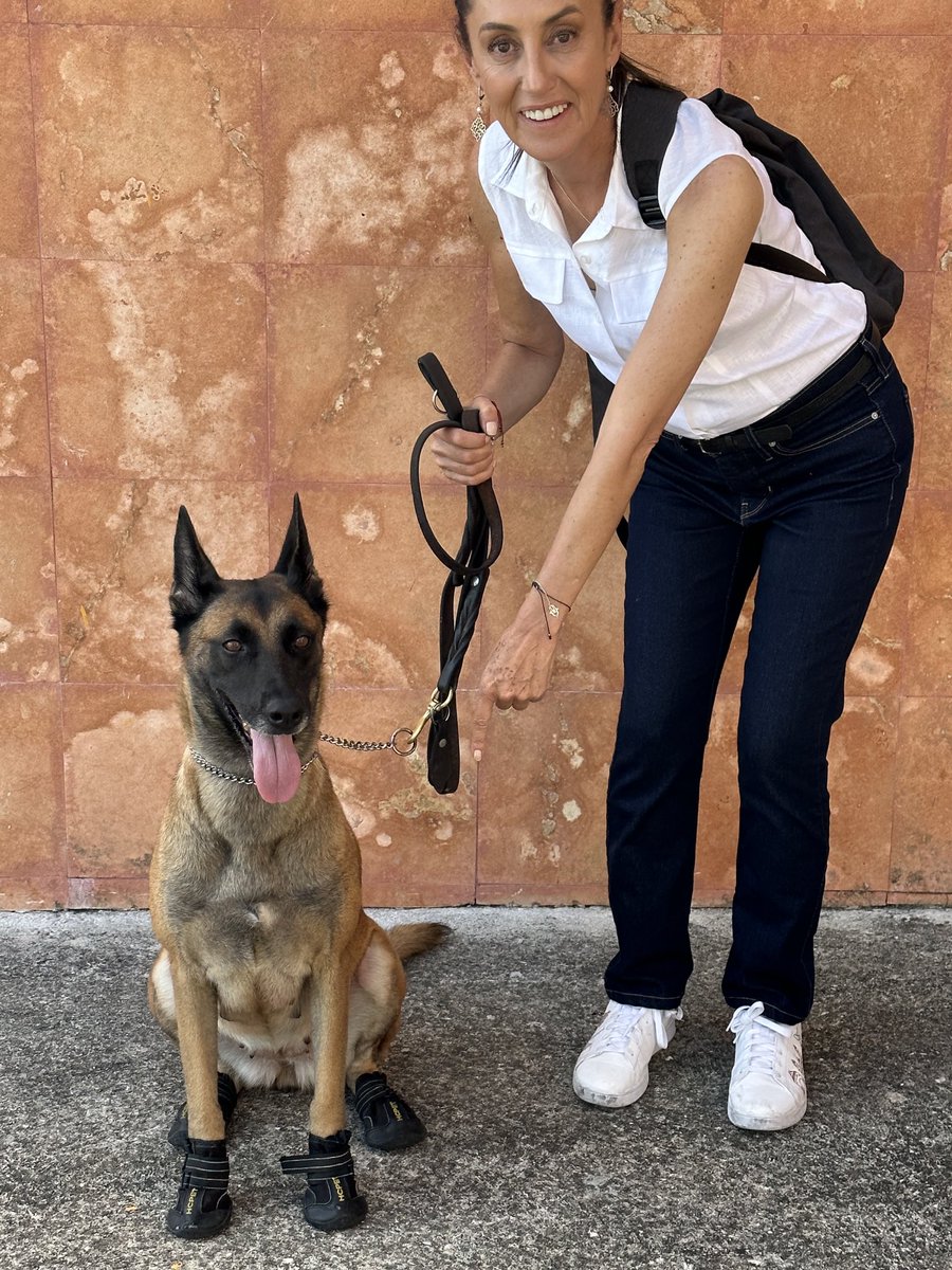 Arouet_V's tweet photo. Se llama Toalla y trabaja en la GN. La otra es Claudia, está amaestrada por el populismo autoritario y se enoja muy fácilmente. Sus colaboradores cuentan cómo grita y golpea todo lo que tiene cerca cuando algo no sale como quiere. Incluso una vez vez rompió una mesa. No seas como @Claudiashein.