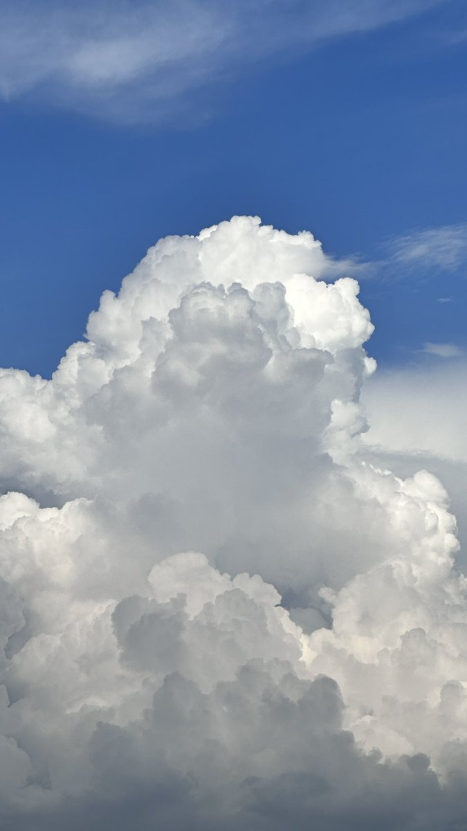 ☁️🌬️:

“It’s my goal to have no final form.
To never be defined.
To never stop exploring, learning.
To experience life as long as I’m alive.”

– Jerico Silvers