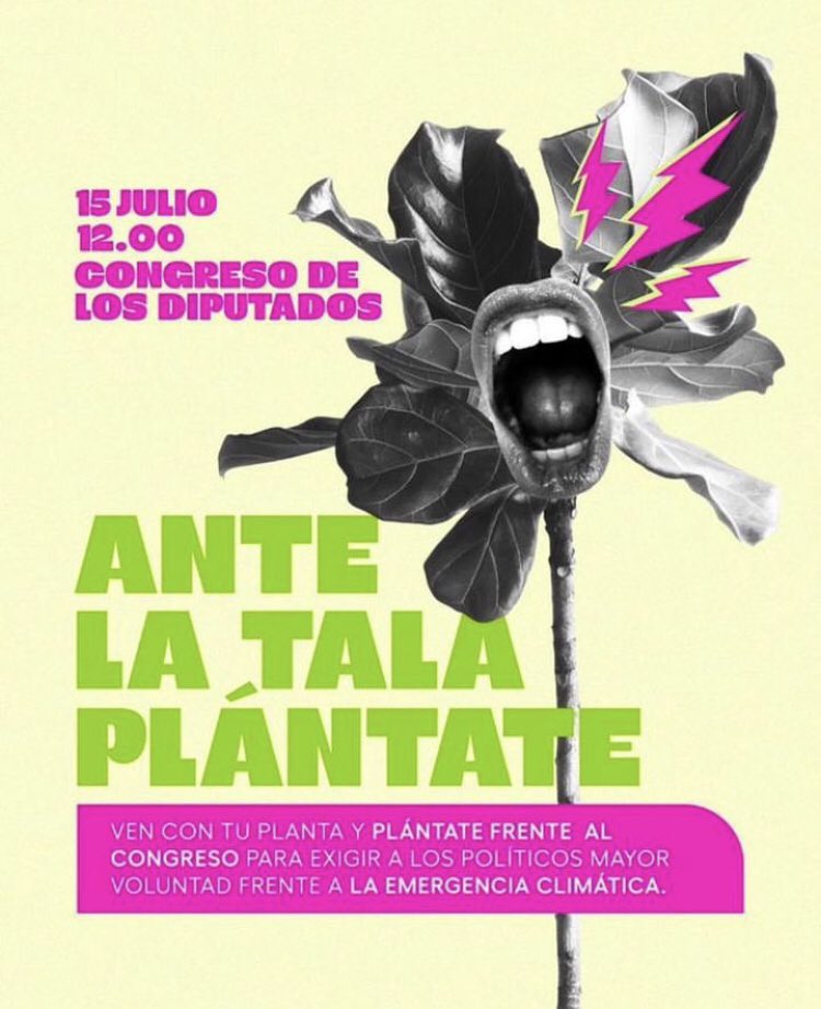 🗓 Este sábado 15 de julio
⏰ a las 12h.
📍frente al Congreso de lxs Diputadxs.

📣Me planto ante la tala 🪓

Llevaré una plantita🪴y que sea ella la que exija a nuestrxs políticxs acción frente a la emergencia climática 🌊☀️🔥🌡

#nosplantamosporelclima #nosplantamosenelcongreso