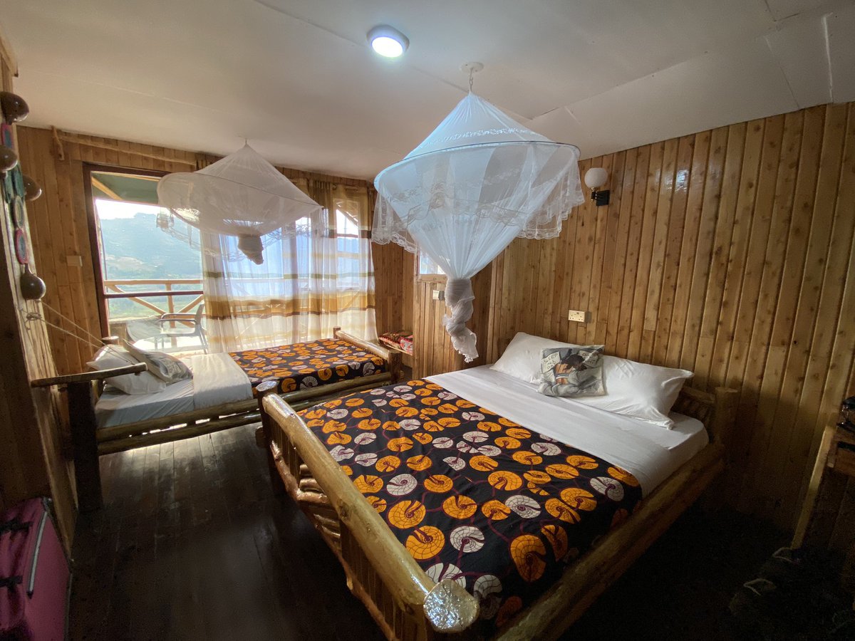 🧗🏾♀️Bentique🦍 tweet media