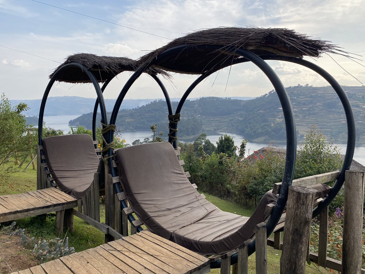 🧗🏾♀️Bentique🦍 tweet media