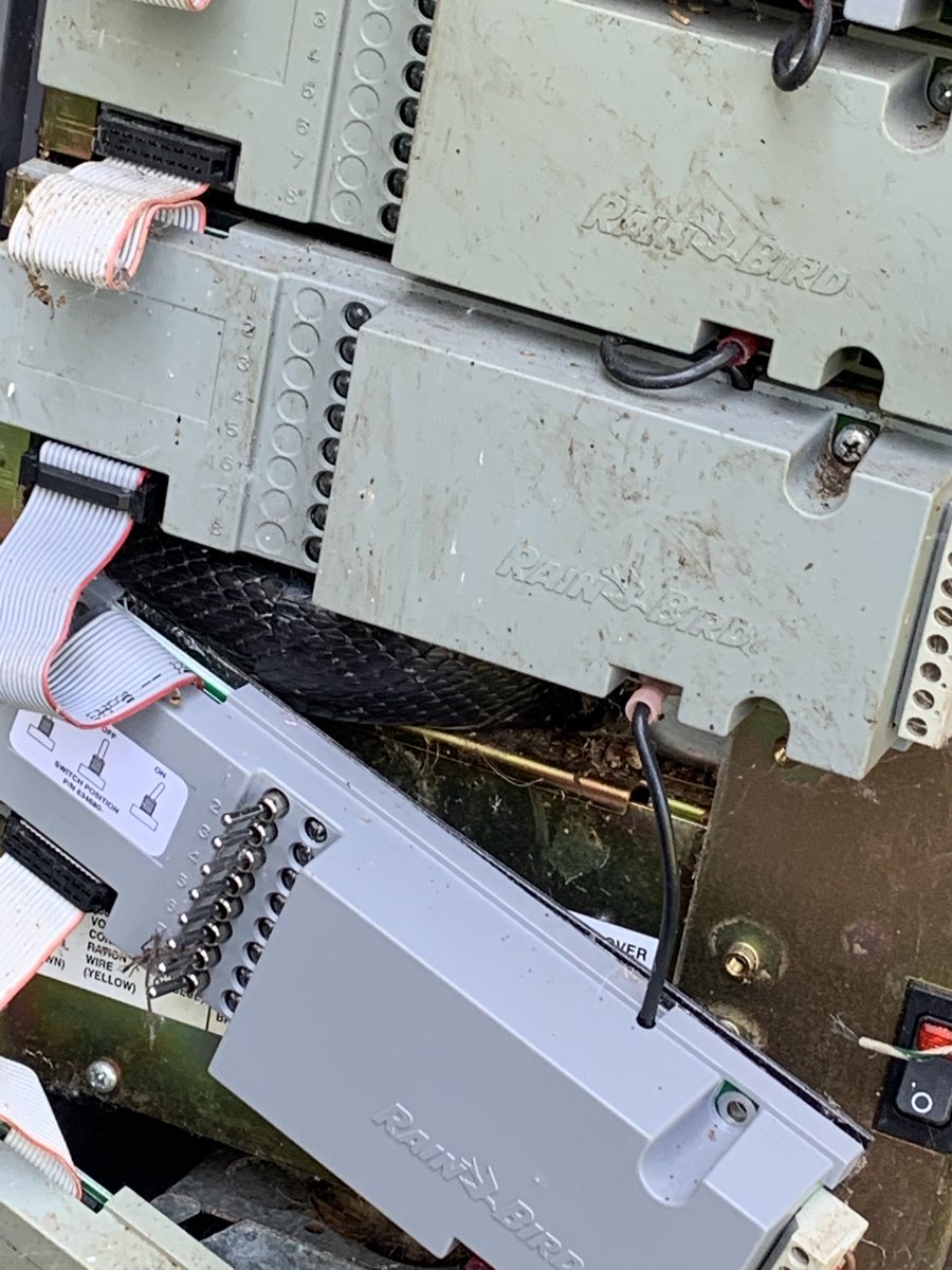 What’s wrong with this picture