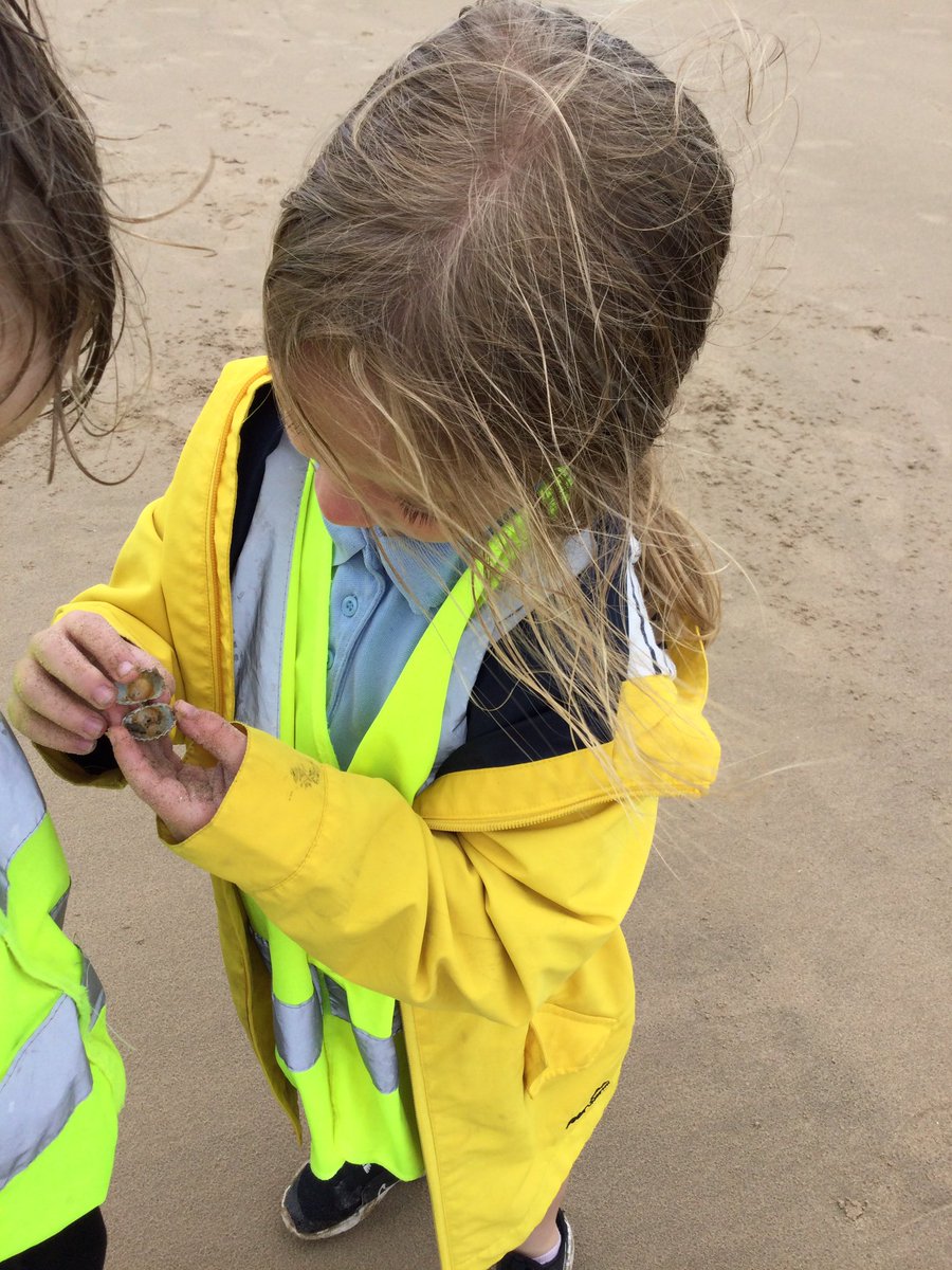 Alty CE Y3 tweet media