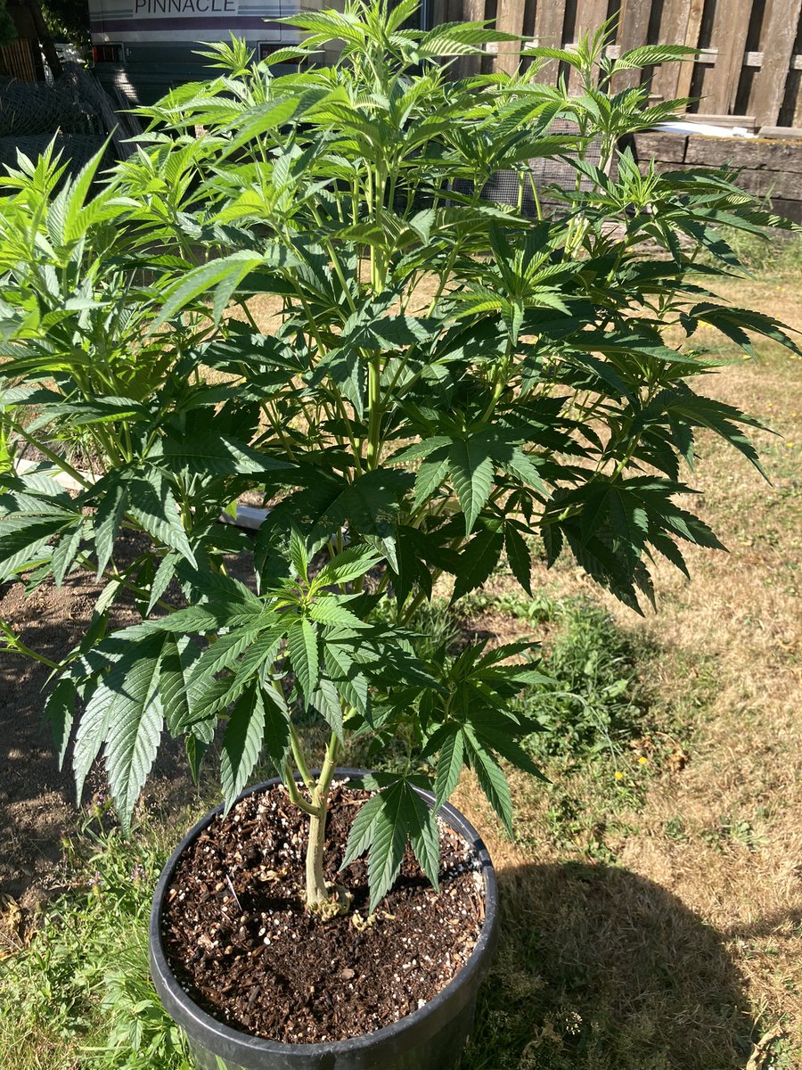 Gotta love this time of year!