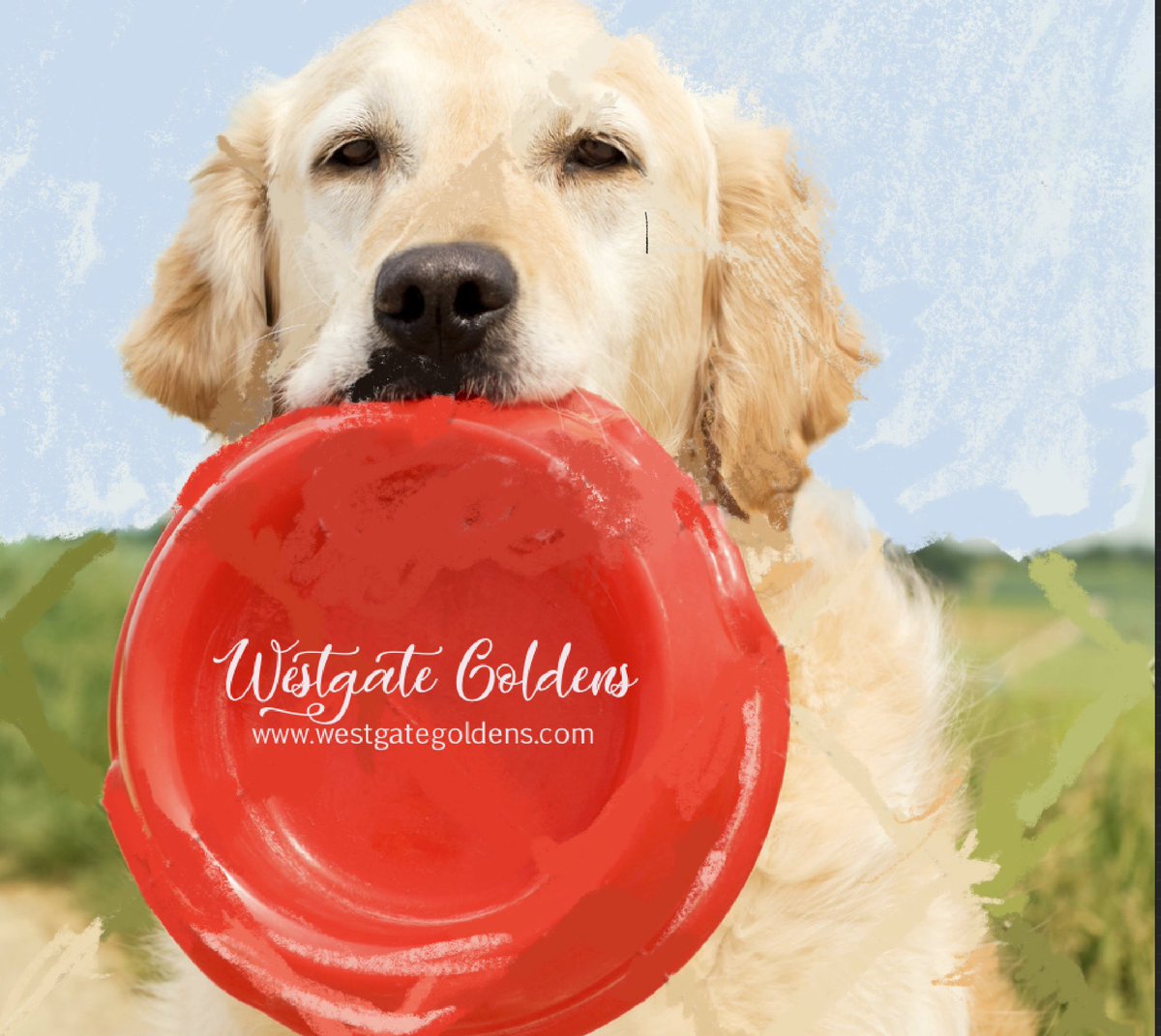 GMing49's tweet photo. @DogWorksMolly Where love/marketing/art/puppies collide https://t.co/Lg3vyGi9ME