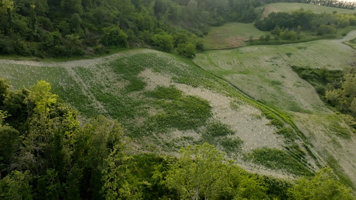 ABBItalia's tweet photo. 🌲 L'Oasi della gratitudine, un progetto misurabile di #tutela degli #impollinatori 🐝e della #biodiversità.
✅In partnership con @3BeeHiveTech abbiamo messo a disposizione la nostra #tecnologia per proteggere l’#ambiente.
Scopri di più ➡️ https://t.co/DhmwdUqtzZ
#ABB #3Bee https://t.co/0GYpfme35Z