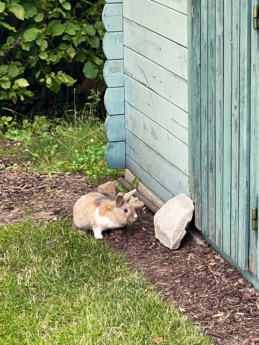 The WineSmacker tweet media