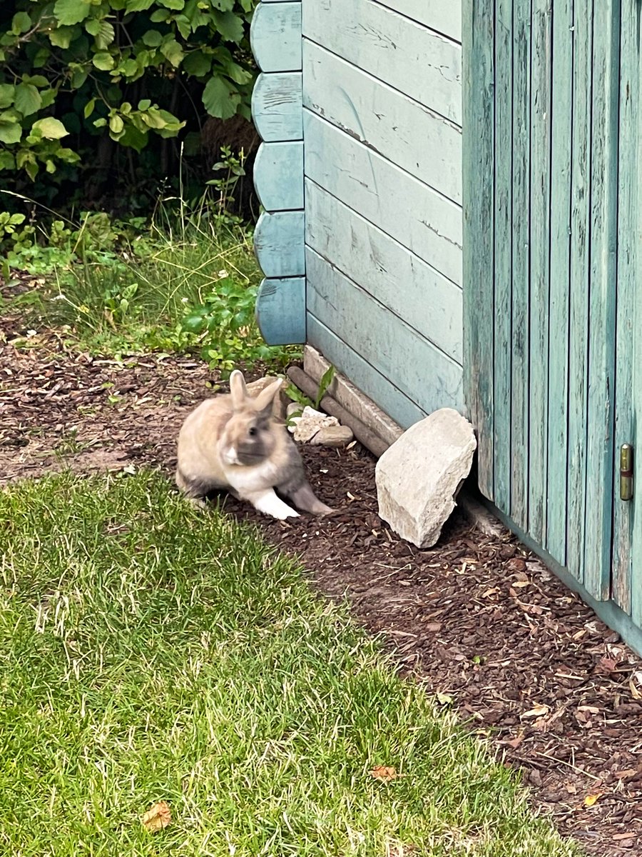 The WineSmacker tweet media