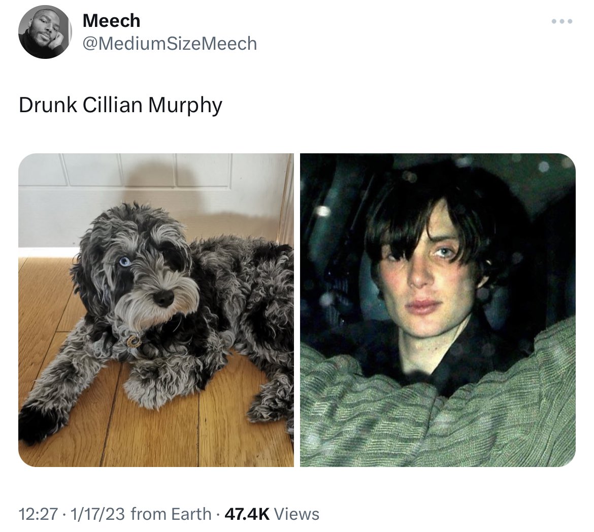 Meech tweet media