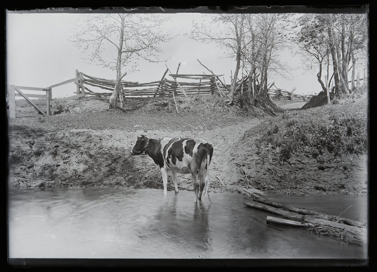 Library & Research Center tweet media