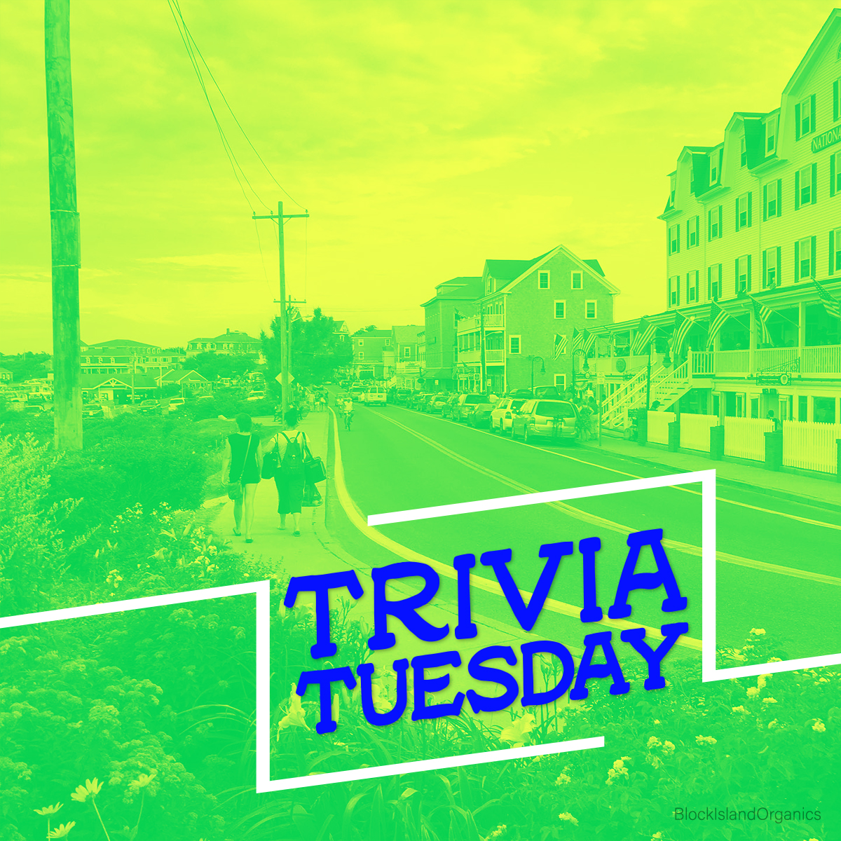 Block Island Ferry tweet media