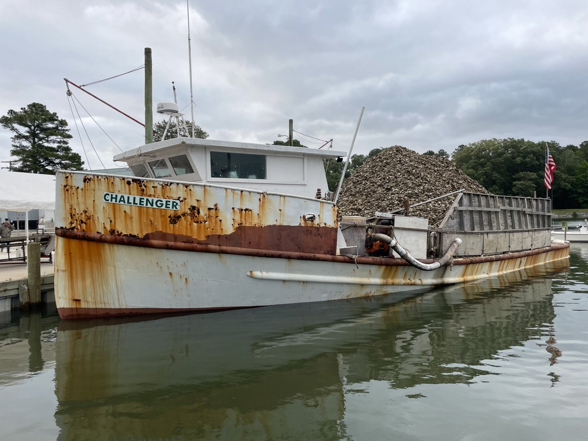 Oyster Recovery Partnership tweet media