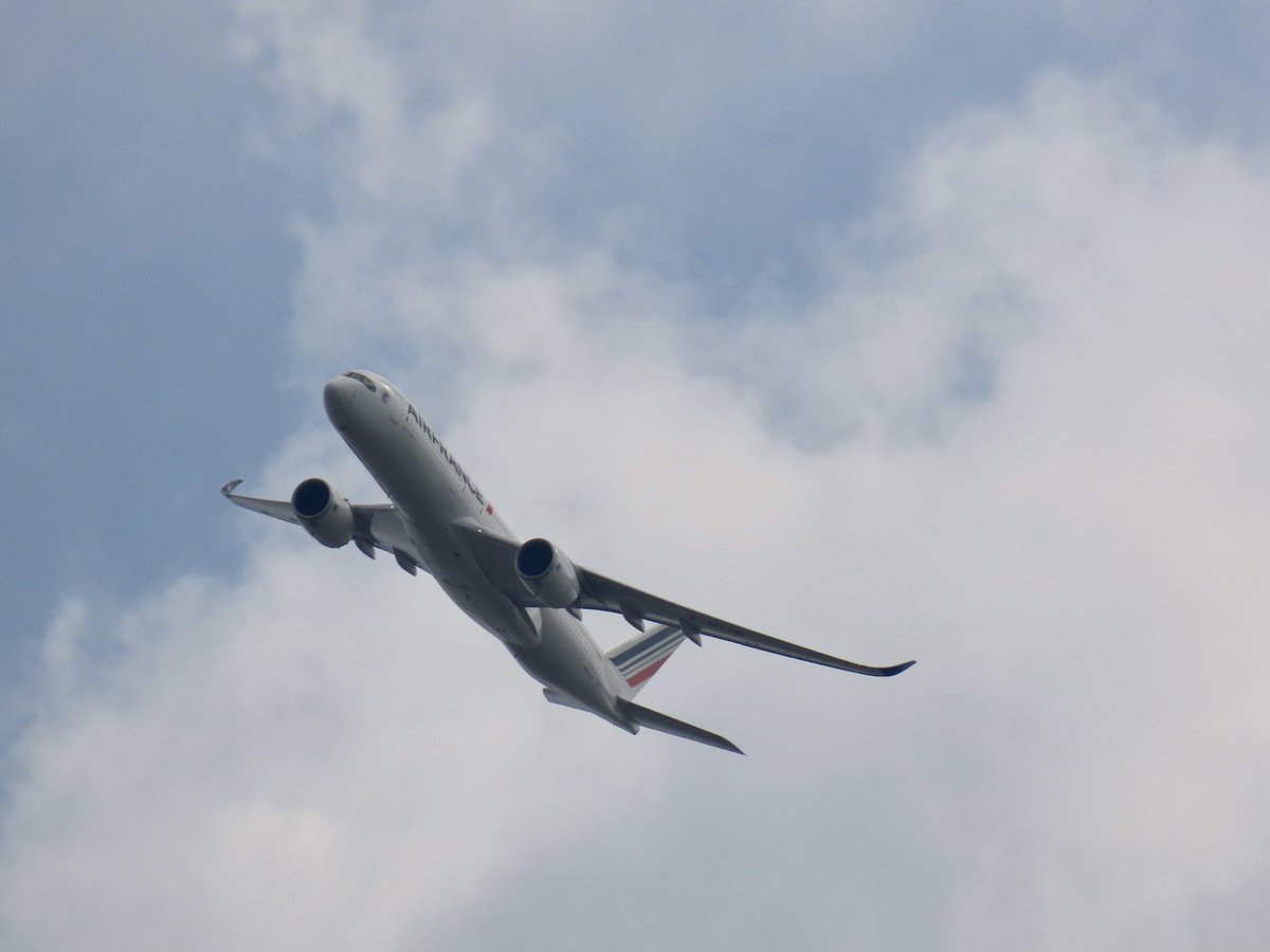 Mathilde Jeaunaux tweet media