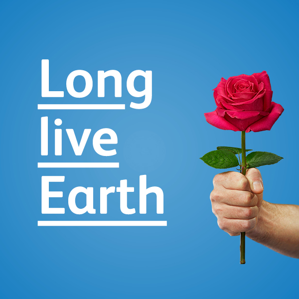 Chrysal Benelux tweet media